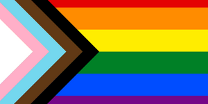 Pride flag variant based on Daniel Quasar's 2018 design combining elements of the Philadelphia flag and the trans pride flag, and brown and black.