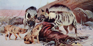 A painting of hyenas and jackals hovering over a carcass.