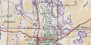 A section of the topographic map of the Touggourt area, focused on the town itself.