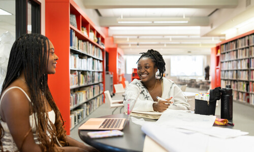 Two students work together at a table in a bright sunny library with shelving behind them.