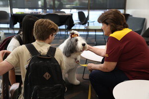 A fluffy Old English Sheepdog with an ASU bow tie is petted by a person in a maroon and gold shirt, accompanied by two people with backpacks.
