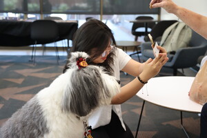 A fluffy dog with a white and gray coat and an "ASU" band, sitting next to a person holding a phone, as a hand offers the dog a treat.